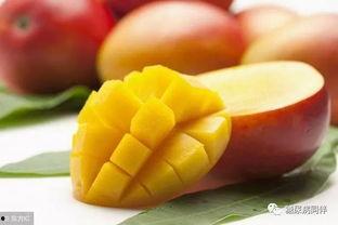 糖尿病人可以吃甜梨瓜吗,甜梨瓜的食用指南