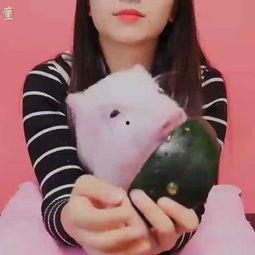 吃瓜猪娱,揭秘娱乐圈背后的那些事儿