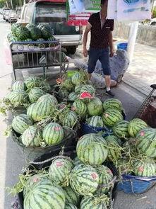 沧州吃瓜网红事件,一场网络舆论的发酵与反思