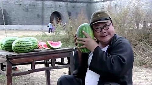 吃瓜不给钱的翻译官