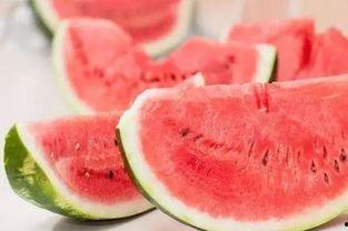 曲阳仁济吃瓜,一场吃瓜盛宴背后的故事