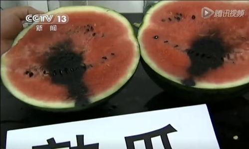 台湾吃炸弹瓜视频,场面惊心动魄