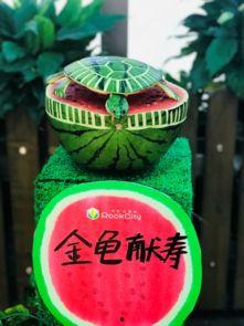 吃瓜啦环创,揭秘娱乐圈幕后故事