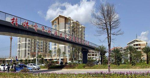 桂电北海校区吃瓜,校园吃瓜文化盛行，揭秘校园生活趣味瞬间