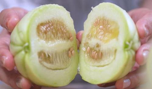 什么瓜加皮子吃,探寻传统美食中的皮子与瓜的完美融合