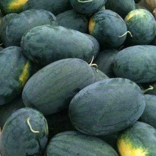 吃瓜制造,揭秘娱乐圈那些不为人知的幕后故事