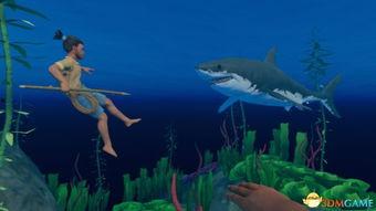 raft怎么防止鸟吃瓜,基于Raft算法的防鸟吃瓜策略解析