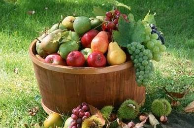 外国催眠吃瓜,一场神秘的吃瓜盛宴