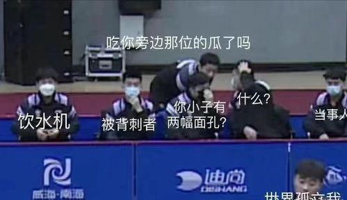 乒超上海队吃瓜