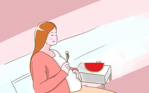 不要勉强自己吃瓜,享受生活的真谛