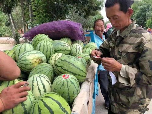 宝职吃瓜,揭秘校园热点事件背后的真相