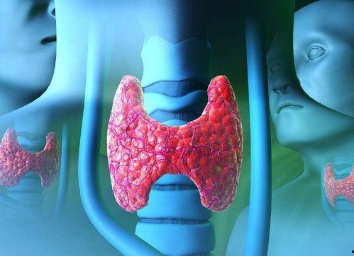 甲状腺可以吃生瓜,生瓜的食用指南与注意事项