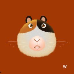 吃瓜獐头鼠目,揭秘吃瓜獐头鼠目的神秘面纱