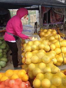 甘肃同城吃瓜,揭秘本地热门事件背后的故事