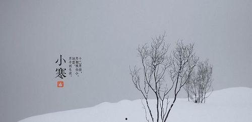 小寒的吃瓜日记,揭秘娱乐圈的甜蜜与苦涩