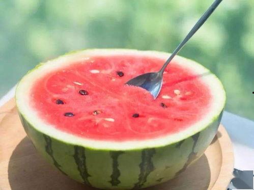 吃瓜发西瓜,西瓜的甜蜜诱惑