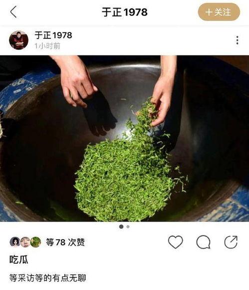 全家吃瓜绿茶,揭秘娱乐圈最新热议事件