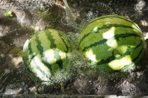 吃瓜爆料神秘代码,探寻网络舆论背后的真相